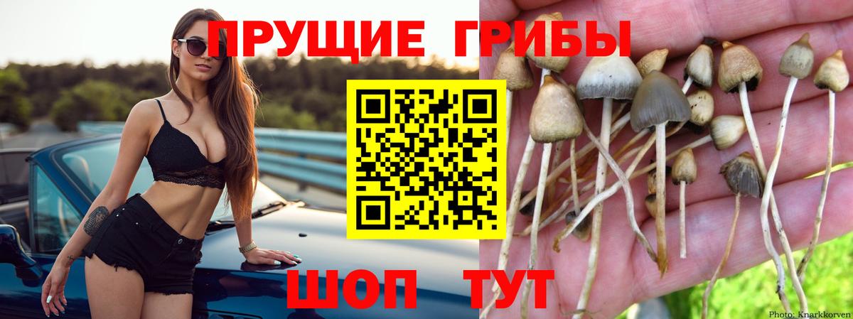Галлюциногенные грибы прущие грибы  Вход с VPN  Аксай 